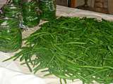 Conserves de haricots verts