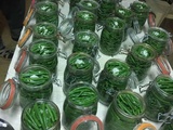 Conserves de haricots verts