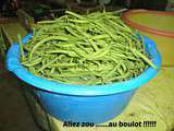 Conserves de haricots verts