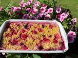 Porridge aux fruits rouges