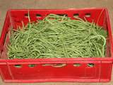 Vous cherchez une idée pour utiliser de gros haricots verts ?....Faites comme moi