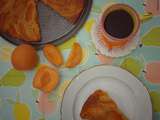 Gâteau light aux abricots