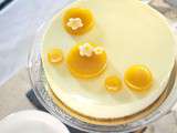 Entremets mangue passion insert framboise