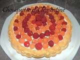 Gateau leger aux framboises tupperware