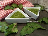 Pesto aux fanes de betteraves rouges et amandes au Thermomix ou sans