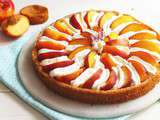 Tarte à la nectarine et chantilly de mascarpone au miel