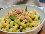 Torselli aux pois jaunes, sauce avocat et crevettes grises