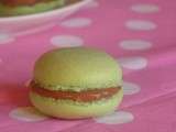 ♥ Macarons Pistache et Chocolat Praliné { Il parait qu'ils sont bons :) }