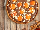 Tarte amandine au chocolat et aux abricots