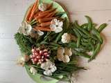 Fanes de légume de printemps comment les cuisiner