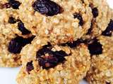 Biscuits aux flocons d’avoine, banane et cranberries