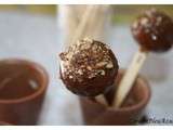 Cake pops miel-cannelle enrobé de chocolat