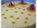 Entremet Mangue Passion