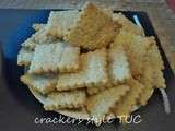 Crackers style  tuc  fait maison