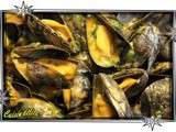 Moules sauce bisque de homard