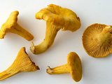 Girolles