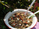 Salade de lentilles pour 10 pour à 20 personnes