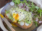 Avocado Toast & Oeuf poché aux graines germées