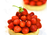 Tartelettes, Fraises des Bois