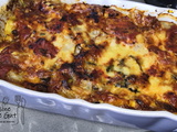 Lasagnes de cardes de blette et reste de sauce tomate de lapin