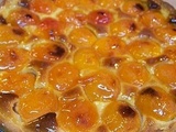 Tarte sablée aux abricots et crème d'amandes, confiture de fenouil et d'anis