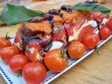 Terrine de tomates romana , mozzarella