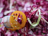 Salade de tomates cerises et deux choux