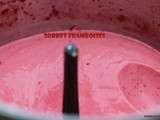 Sorbet express framboises au Cook'in