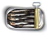 Sardine