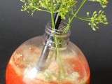 Gaspacho de tomates rouges et condiment épicé de tomates vertes