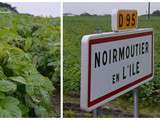 Fête de la bonnotte sur l'île de Noirmoutier