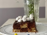 Gâteau damier au yaourt