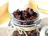 Granola au chocolat {recette facile}