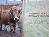 Comment faire du fromage maison : choix du lait