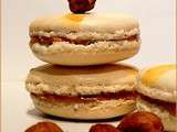 Macarons à la Pâte de noisettes