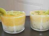 Mousse de kiwi et mangue