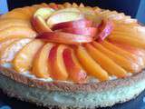 Tarte aux abricots et nectarines