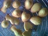 Tea-time avec les madeleines tout orange de Dorian et Salons du livre