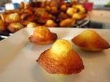 Madeleines à la pomme et à l’orange confite