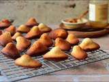 Madeleines à la vanille, poudre d’amandes et miel