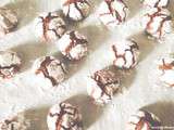 Crinkles Chocolat