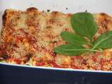 Cannelloni geants a la ricotta et aux epinards, sauce a la tomate