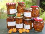 Confiture de mirabelles, verveine, vanille et eau de vie de mirabelles