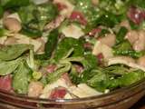 Salade de haricots tarbais, magrets, fromage basque