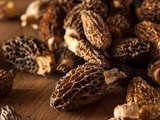 Sublimez vos plats avec la saveur incomparable des morilles séchées