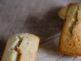 Financiers aux noisettes