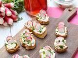 Bruschettas houmous et radis