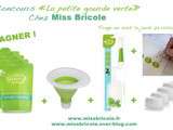 Concours  La petite gourde verte  de Miss bricole