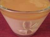 Coulis de Mangue Rapide (Thermomix)