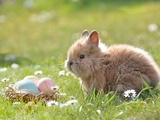 7 cadeaux les plus cool pour les paniers de Pâques de tous vos enfants